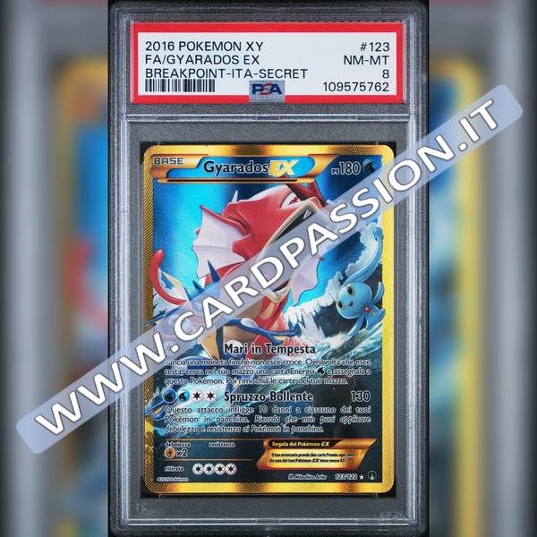 123/122 Gyarados EX Rara Segreta | Turbo Crash – PSA 8